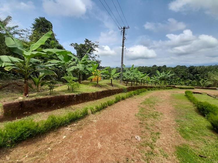 Nisarga Homestay, Dharmasthala Dharmastala المظهر الخارجي الصورة
